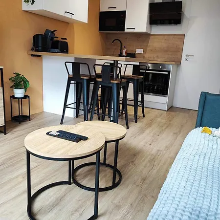 15, Proche Rue Pietonne Et Apartment *