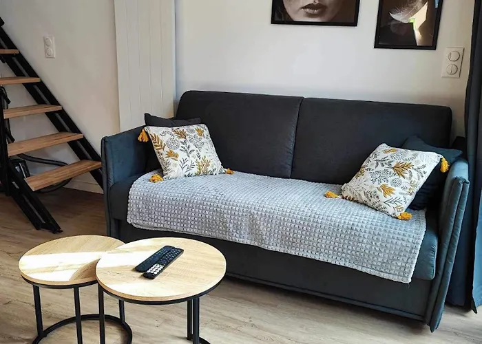 15, Proche Rue Pietonne Et *